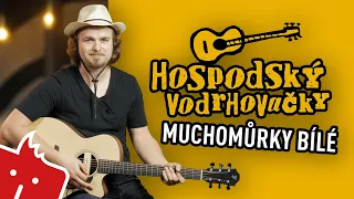 Jak hrát na kytaru: Muchomůrky bílé (Hospodský vodrhovačky #55)