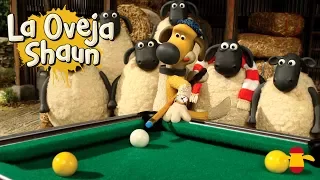 Juego de billar - La Oveja Shaun HD