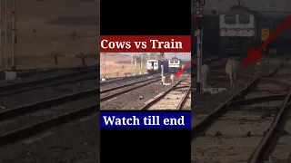 Train hits cow #shorts #youtubeshorts #indianrailways #cowvideos