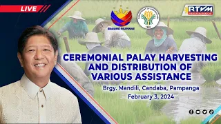 Ceremonial Palay Harvesting and Distribution of Various Assistance 2/03/2024