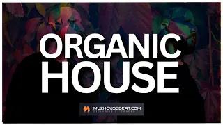 Organic House Top Dj Tracks 2024