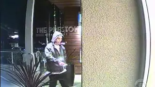 Apartment Burglary in Wilshire Area Caught on Camera     NR15078lp
