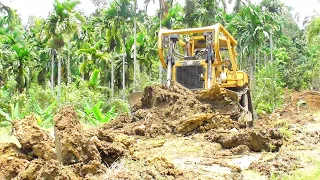 D6R XL Bulldozer Transforms Landscape to Create a New Road