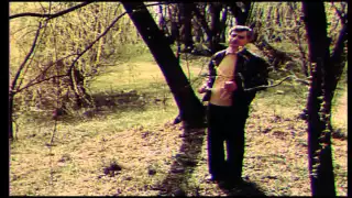 Solovyanenko "Гаю, гаю, зелен розмаю" Ukrainian song 1980