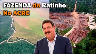 CONHEÇA A FAZENDA QUE RATINHO TEM NO ACRE