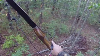 Deer Hunting with the Recurve Bow - Called in a fox - got into his head