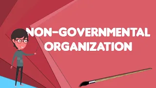 What is Non-governmental organization?, Explain Non-governmental organization