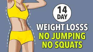 14-Day Weight Loss Challenge: No Jump, No Squat Daily Workout