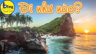 Kinh nghiệm du lịch đảo Lý Sơn đầy đủ nhất