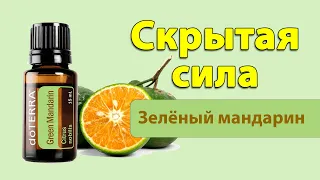 Духовная сила эфирного масла Зелёный мандарин [выпуск 24]