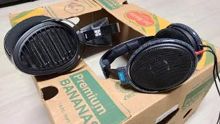 HiFiMAN Arya vs Sennheiser HD600 Comparison