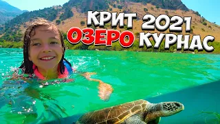 🇬🇷 КРИТ 2021 Озеро курнас Греция ✔ в поисках черепах