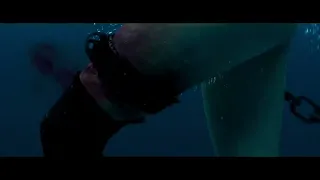 Shark Death Scene :: The Shallows 2016 Movie Clip