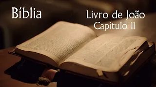 Leitura Bíblica diária - João capítulo 11