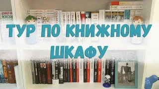 ТУР ПО КНИЖНЫМ ПОЛКАМ #2