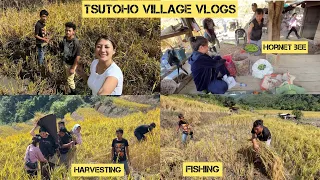 Mesmerising the TSUTOHO VILLAGE| FISHING |HARVESTING | CURESKIN
