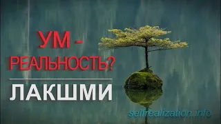 ЛАКШМИ. Ум – реальность и иллюзия. Как ведёт себя просветлённый