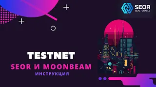 Testnet SEOR и Moonbeam (прохождение и инструкция)