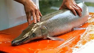 Тайская Еда, Огромная Рыба Аллигатор, Разделка и Приготовление, Бангкок Таиланд