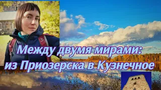 Между двумя мирами: Из Приозерска в Кузнечное. Одиночная прогулка по Большой Ладожской тропе.