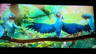 Rio 2 meet mimi and Roberto