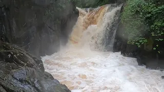 Ingleton Waterfalls in flood