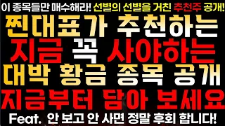 [찐대표 대박 추천주] 지금 꼭 사야하는 대박 황금 종목 공개!