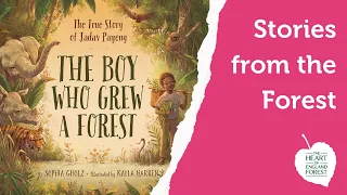 Stories from the Forest - The Boy Who Grew a Forest