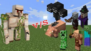 Iron Golam VS All Mob! ZOMBIE, SKELETON, CREPPER, HOGLIN,WITCH, PIGLIN,WITHE, PILLAGER #minecraft