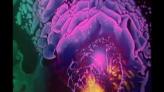 Psychedelic Trippy Liquid Light Show #2