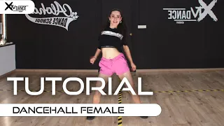 APRENDER DANCEHALL FEMALE | CLASE (2) TUTORIAL | XTV DANCE ACADEMY