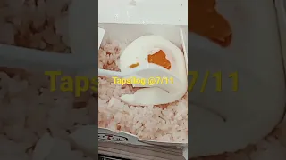 yummy Tapsilog@7/11