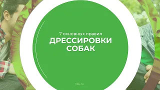 Дистанционный курс обучения «Кинология» - 7 основных правил дрессировки собак