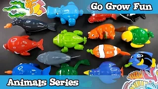 😀Go Grow Fun😀 35 mins "Animals" Series