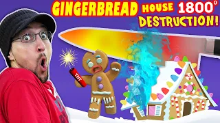 GINGER BREAD HOUSE vs GLOWING 1800 Degrees Kitchen Sword! (FV Family Throwback Vlog)