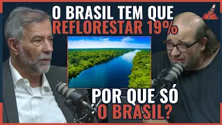 OS RISCOS do DESAMATAMENTO na AMAZÔNIA