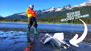 Slammin' Sockeye Salmon in Seward!!! 🐟🐟🐟🐟 Day 1