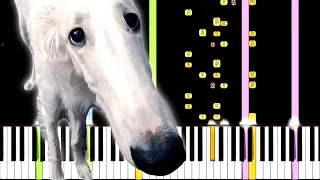 Didn't I Do It For You - Extended Remix Version - Borzoi Meme Song