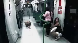 Broma Pesada - Zombies en el metro