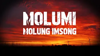 Ao Song  | Molumi  | Molung Imsong | Lyrics Video | hd