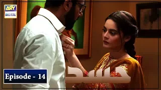 Hassad Episode 14 | Minal Khan | ARY Digital Drama