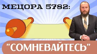 🧐 Мецора 5782. Сомневайтесь | Недельная глава с равом Альтшулем