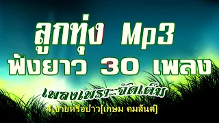 ลูกทุ่ง Mp3 ฟังยาว30เพลง เพราะๆจัดเต็ม🎻