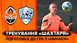 The third UPL match in Lviv within 10 days! How do Shakhtar prepare for the game against Minaj?