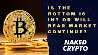 IS THE BOTTOM IS IN? OR WILL THE BEAR MARKET CONTINUE?