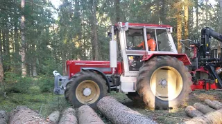 Beim Brennholz fahren mit Schlüter und dem Rückewagen