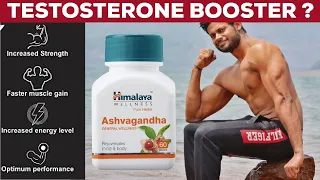 DOES ASHWAGANDHA BOOST TESTOSTERONE AND BUILDS MUSCLE || 100 % RESEARCH PROVEN INFO ||