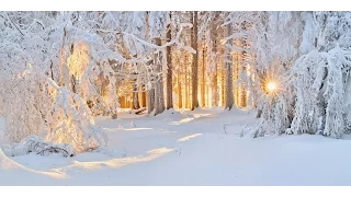 Tombe La Neige