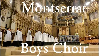 Montserrat BOYS CHOIR (Escolania de Montserrat) is divine. Barcelona, Spain.