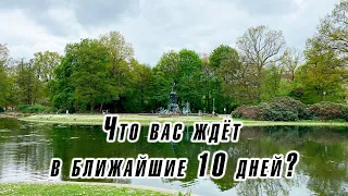 Что вас ждёт в ближайшие 10 дней? Гадание на Ленорман Карина Захарова